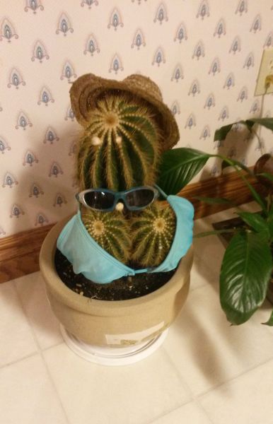 Daily Picdump [WEEKEND EDITION]