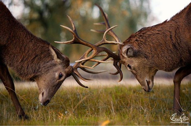 Magnificent Nature Photography