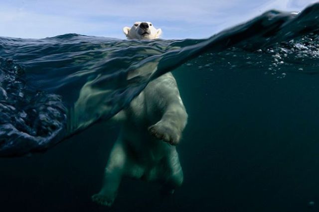 Magnificent Nature Photography