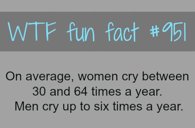 The Quirky and Confusing World of Women