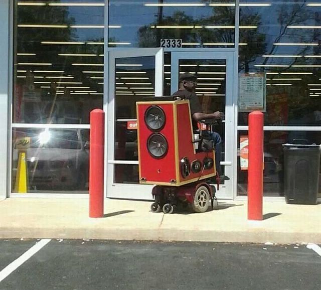 Daily Picdump