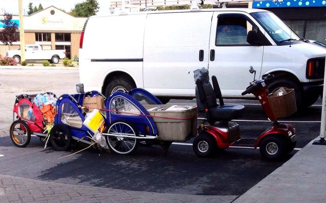 Daily Picdump