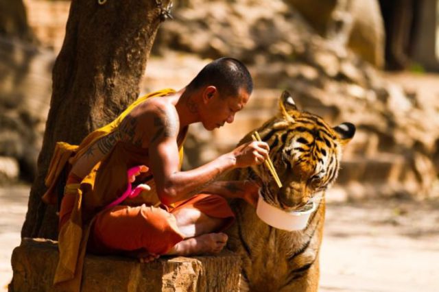 Hard-Hitting Photos That Capture Incredible Moments