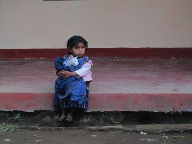 Hard-Hitting Photos That Capture Incredible Moments