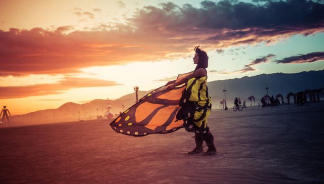 Amazing Photos of the Festival Fun at Burning Man 2014