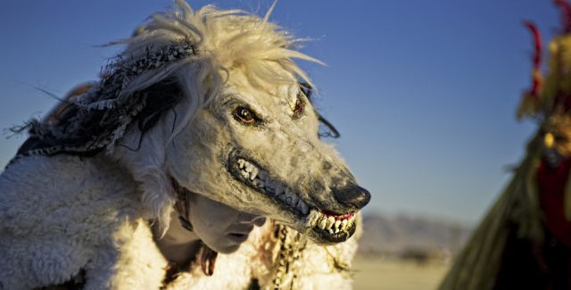 Amazing Photos of the Festival Fun at Burning Man 2014