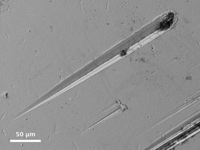 Microscope Images Make Even Normal Stuff Look Strange