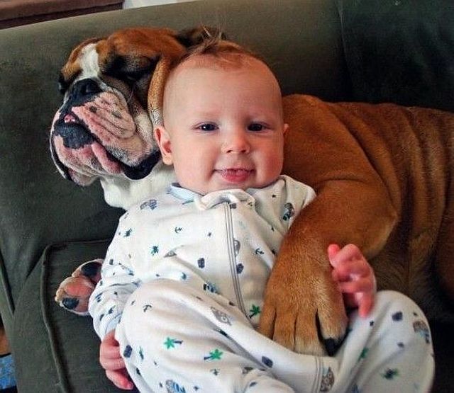 Morning Picdump