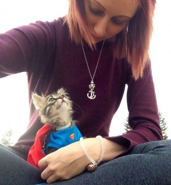Morning Picdump