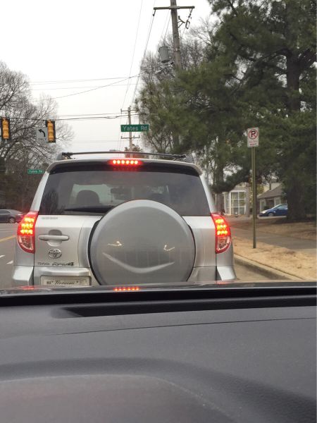 Morning Picdump