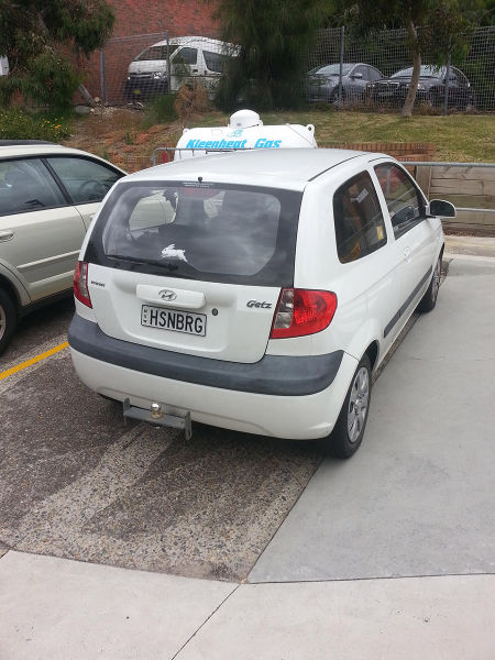 Morning Picdump