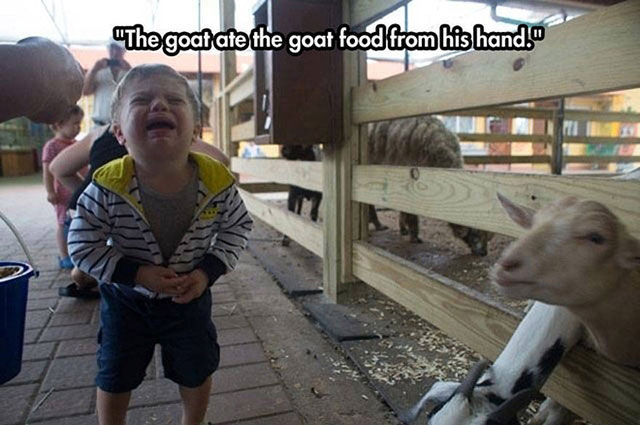 The Everyday Joys of Parenting
