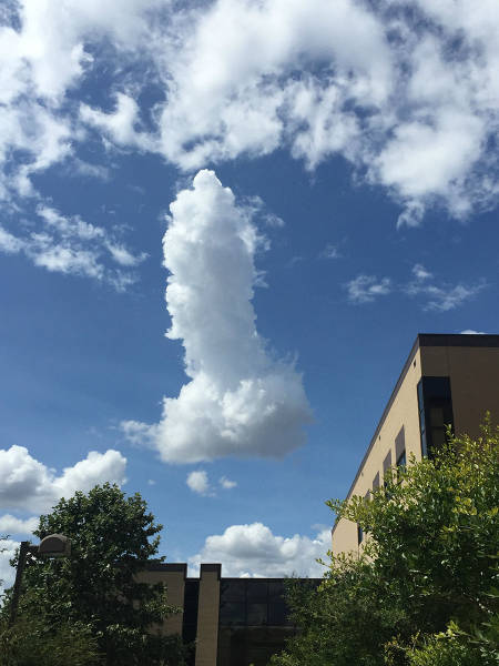 Morning Picdump
