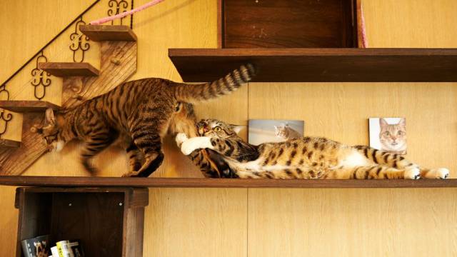 Daily Picdump