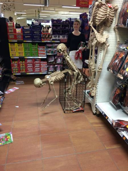 Daily Picdump