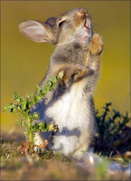 Daily Picdump