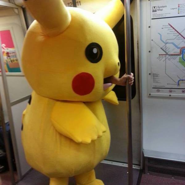 Morning Picdump