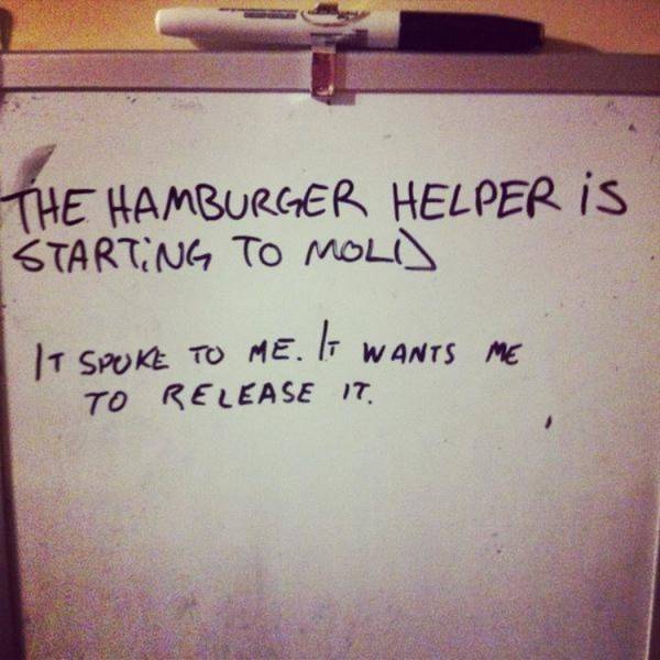 A Few Roommates from Hell