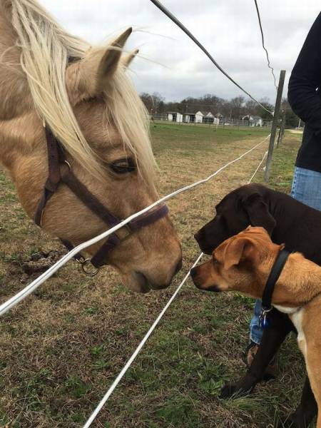 Daily Picdump