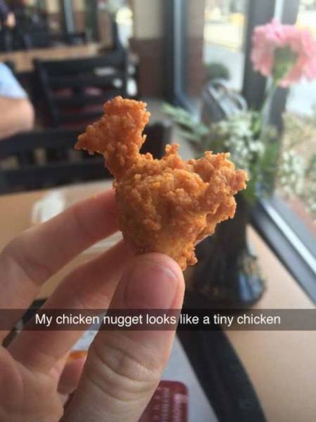 Daily Picdump