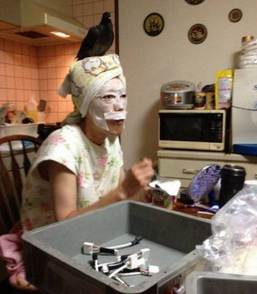 Daily Picdump