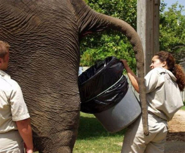 Brace Yourselves, Here Are The Worst Jobs That One Can Have