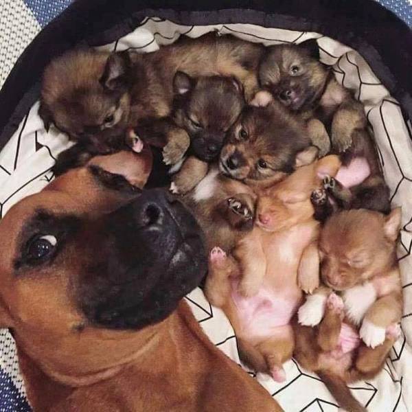 Daily Picdump