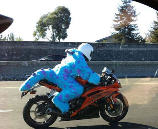 Another Batch Of Photos With Road Funnies