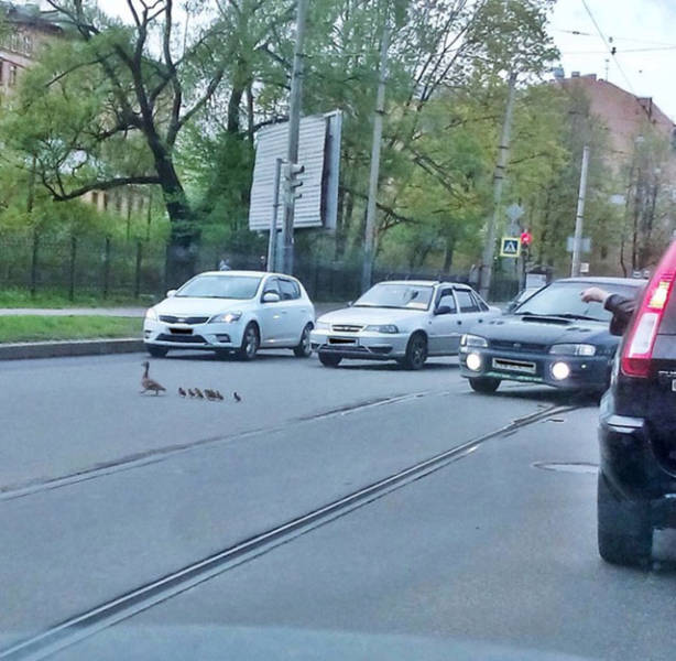 Morning Picdump