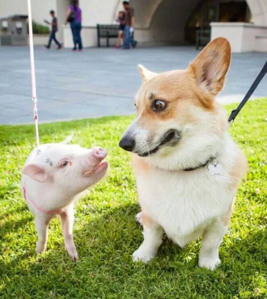 Morning Picdump