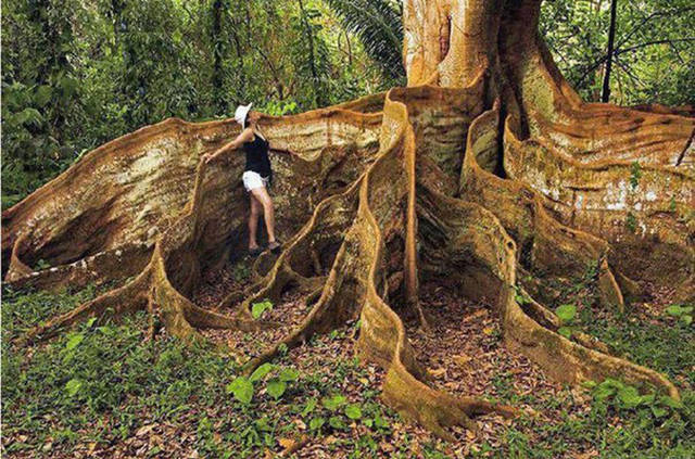 Fascinating Photos That Speak For Themselves