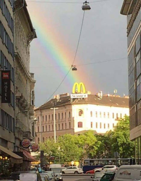 Fascinating Photos That Speak For Themselves