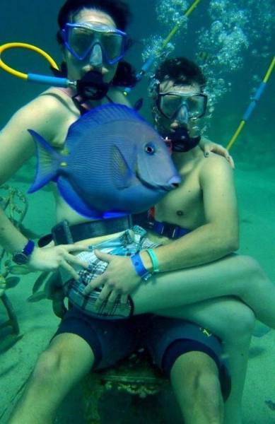 Daily Picdump