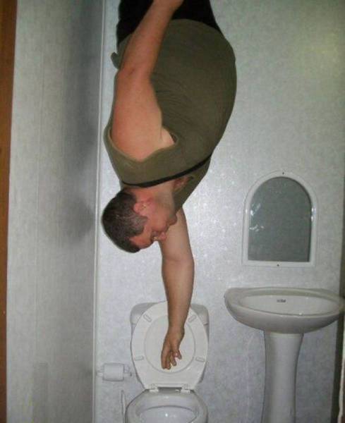 Daily Picdump
