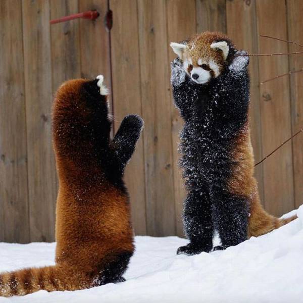 Daily Picdump