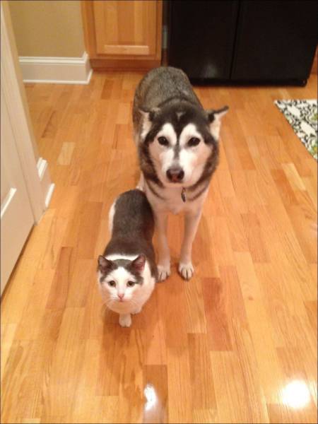 Daily Picdump
