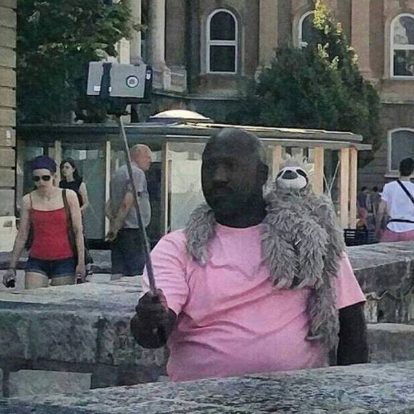 Daily Picdump