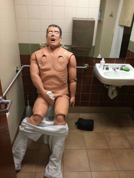 Daily Picdump