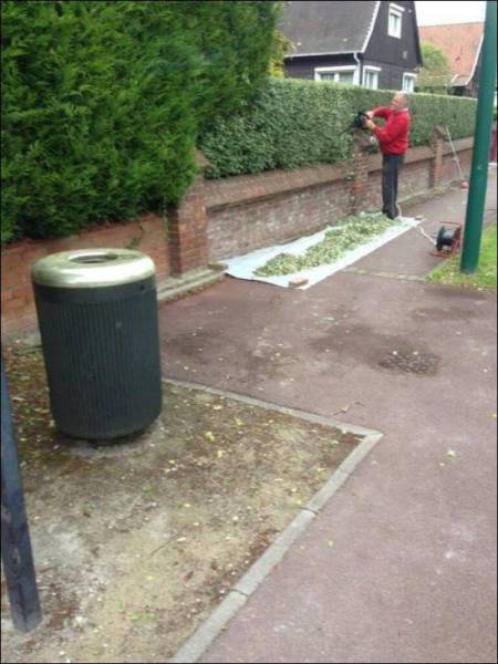 Daily Picdump