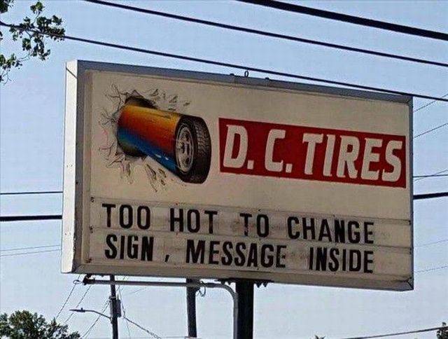 Daily Picdump