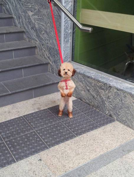Daily Picdump