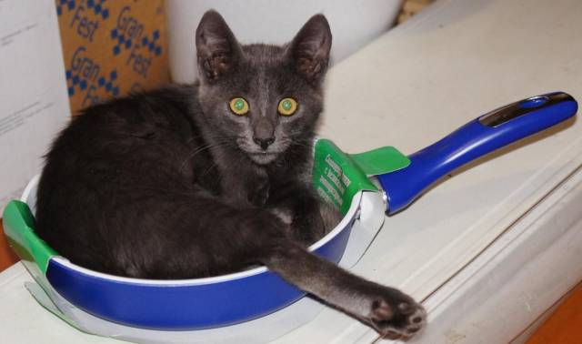 Daily Picdump [WEEKEND EDITION]