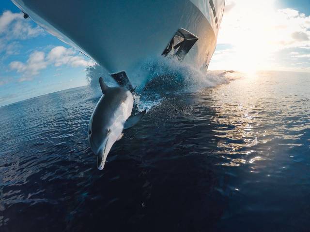 Daily Picdump [WEEKEND EDITION]