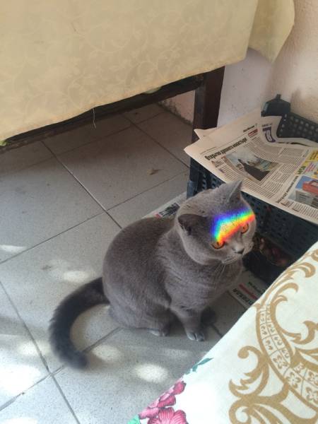 Morning Picdump