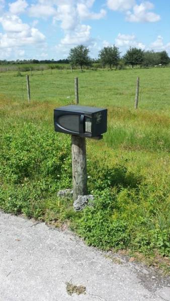 Morning Picdump