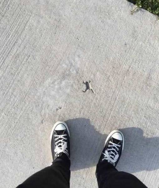 Daily Picdump