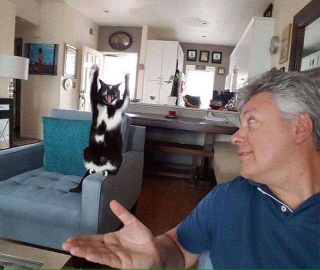Daily Picdump