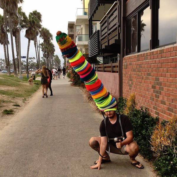 Daily Picdump