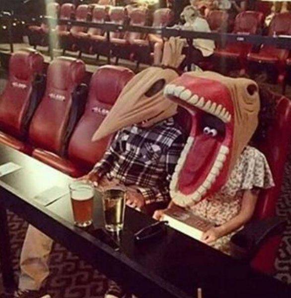Daily Picdump