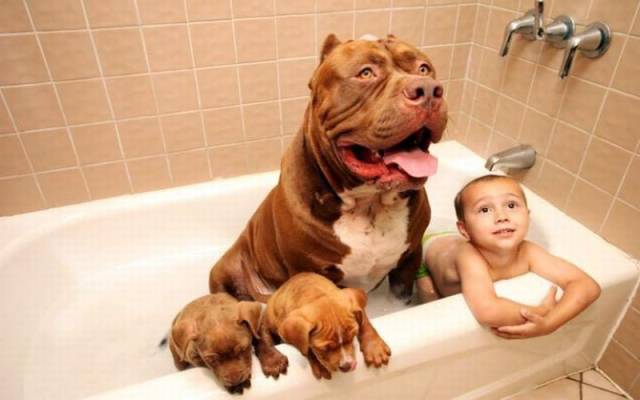 Daily Picdump
